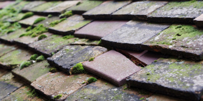 Cheetham roof repair costs
